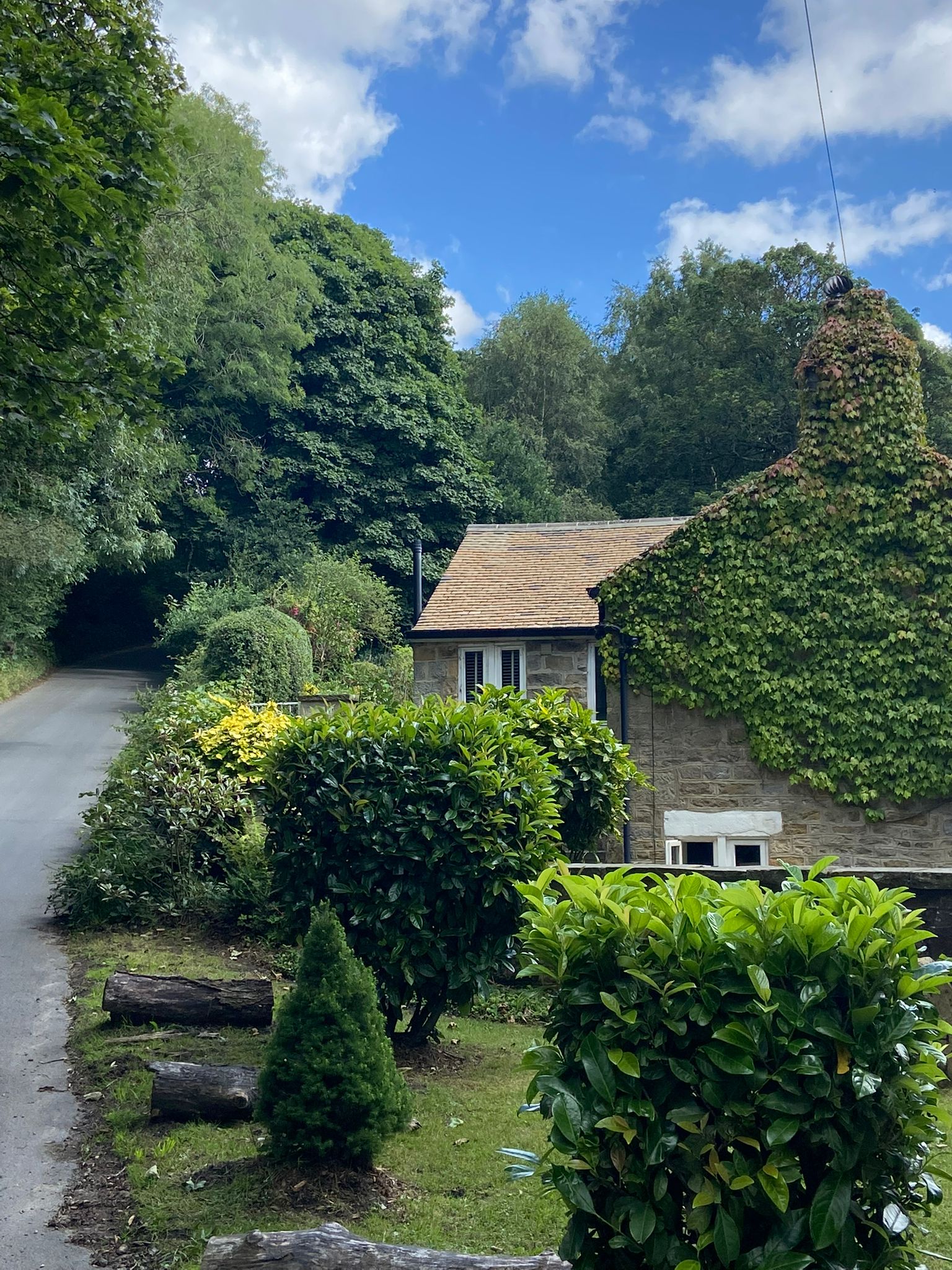 WhatsApp Image 2026-01-28 at 11.29.44